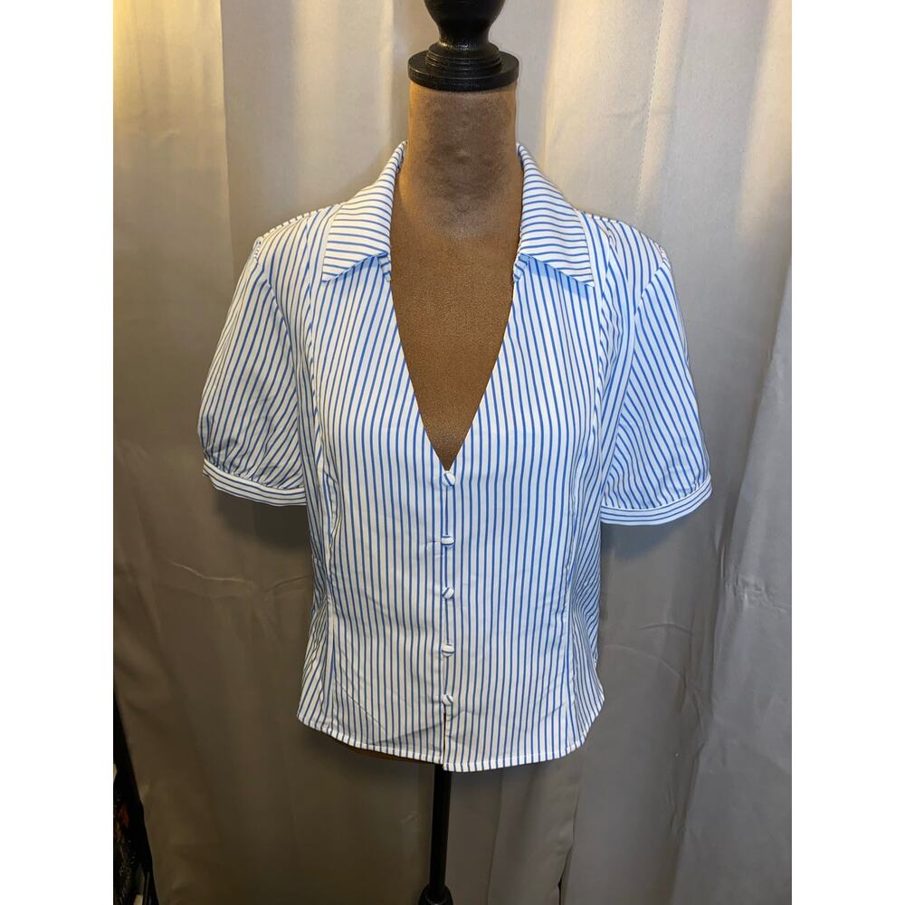 Blue Stripe Button-Front Blouse
